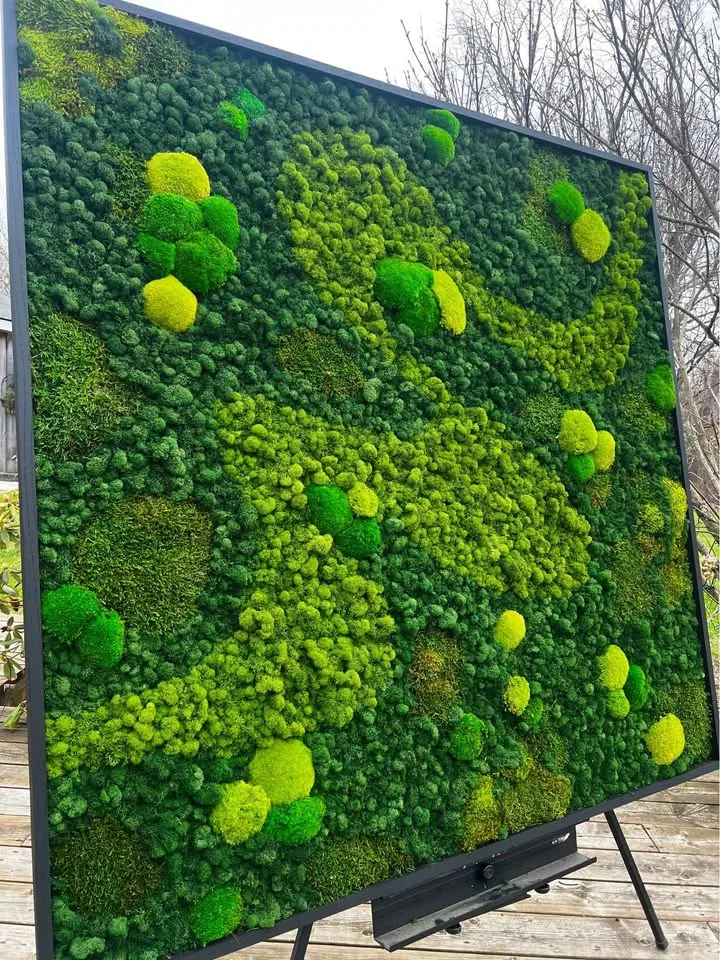 Preserved moss wall image indicator(3)
