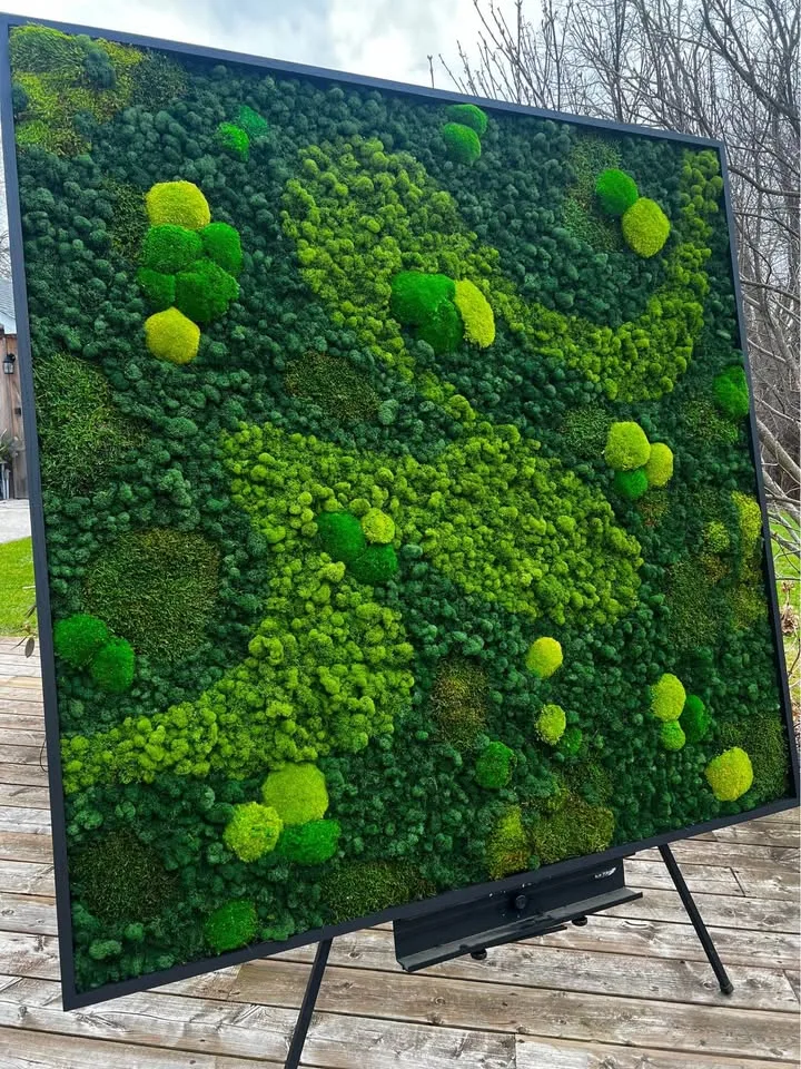 Preserved moss wall image indicator(4)