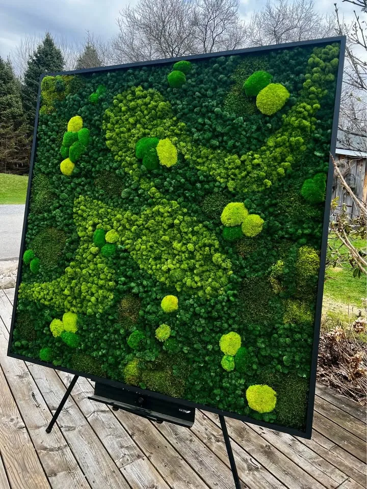 Preserved moss wall image indicator(5)