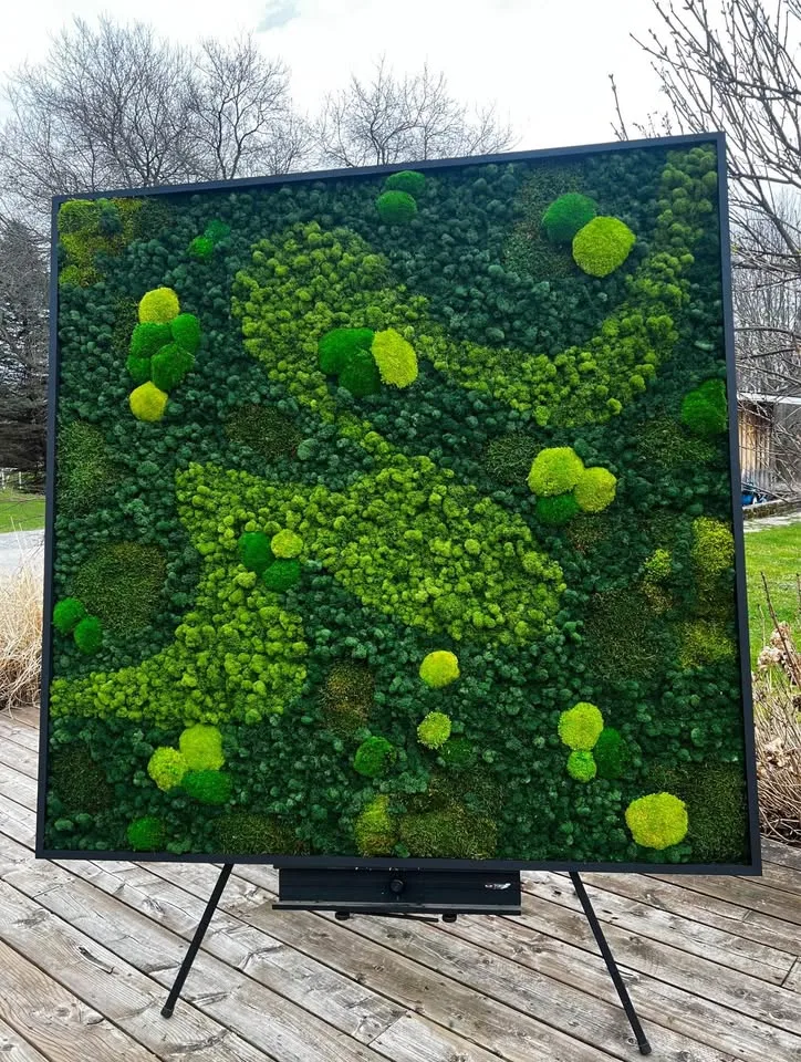 Preserved moss wall image indicator(6)