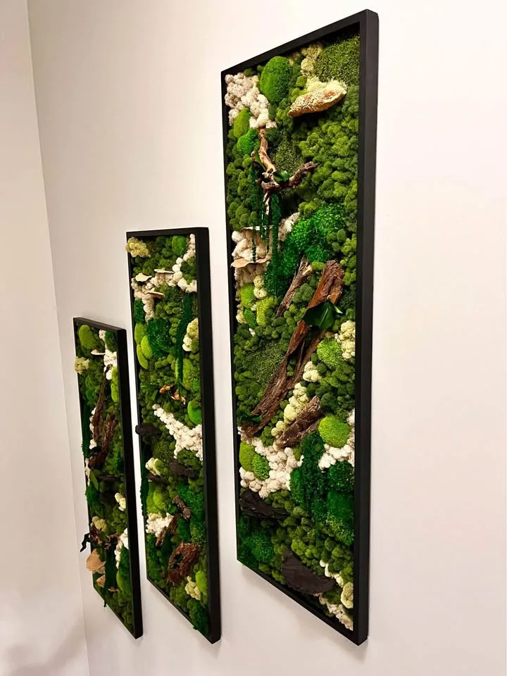 Custom indoor preserved moss art wall image indicator(2)