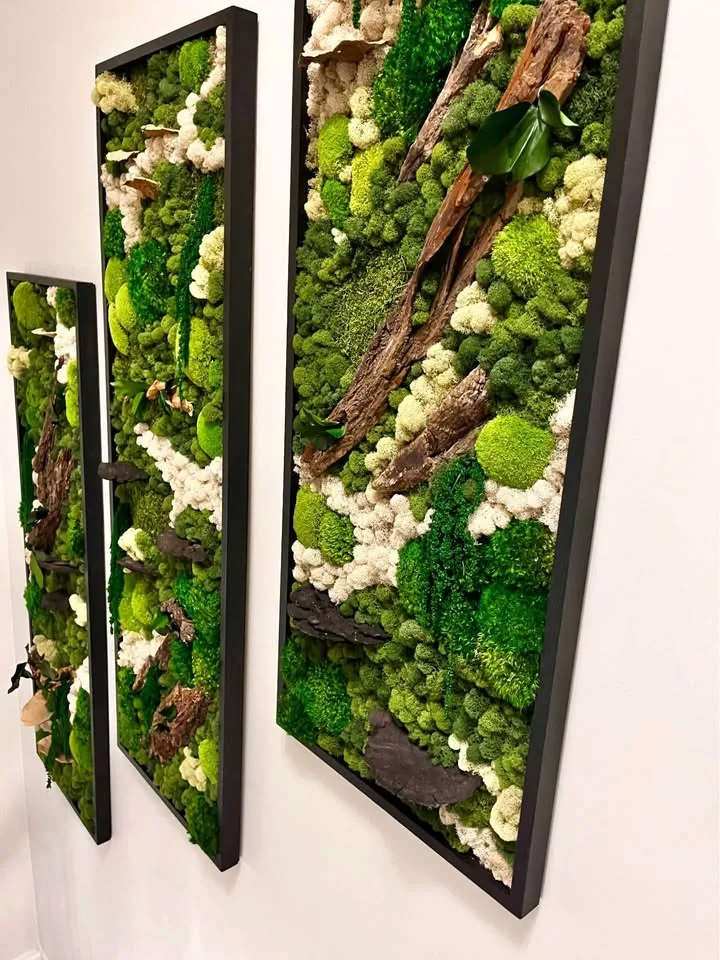 Custom indoor preserved moss art wall image indicator(3)
