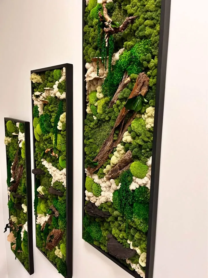 Custom indoor preserved moss art wall image indicator(4)