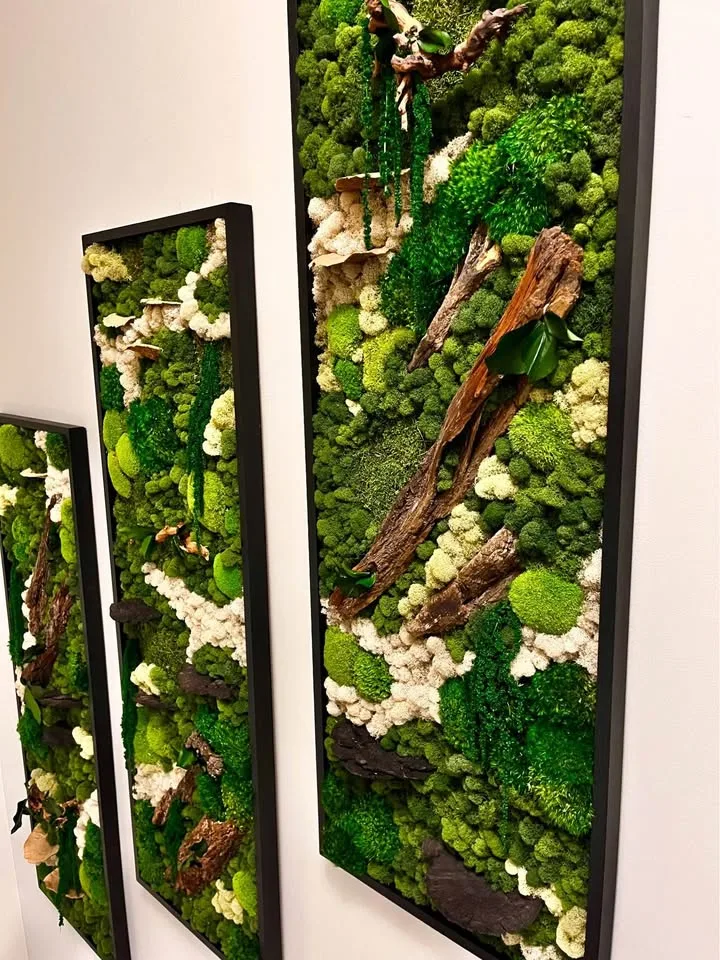 Custom indoor preserved moss art wall image indicator(5)