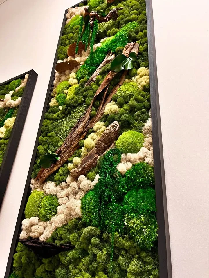 Custom indoor preserved moss art wall image indicator(6)