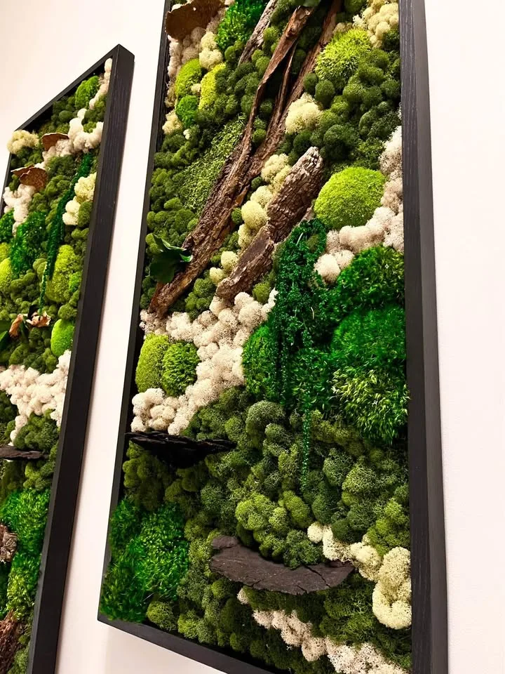 Custom indoor preserved moss art wall image indicator(7)
