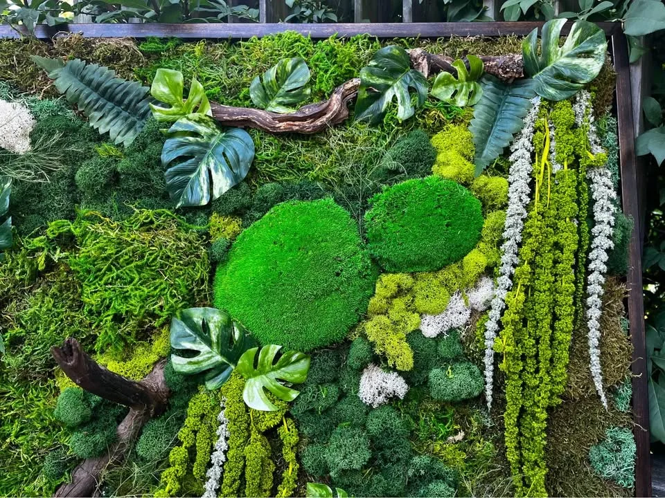 Moss wall art image indicator(2)