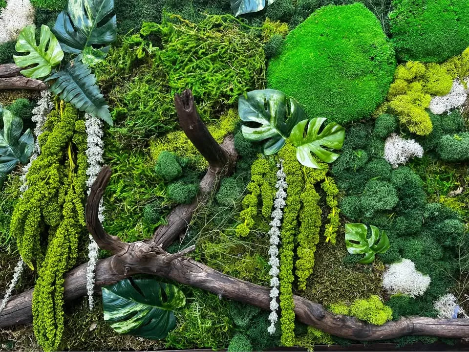 Moss wall art image indicator(3)