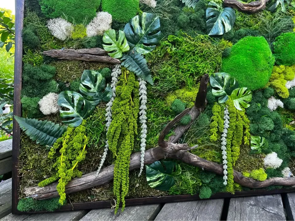 Moss wall art image indicator(4)
