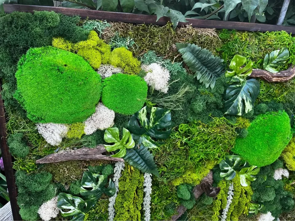 Moss wall art image indicator(5)