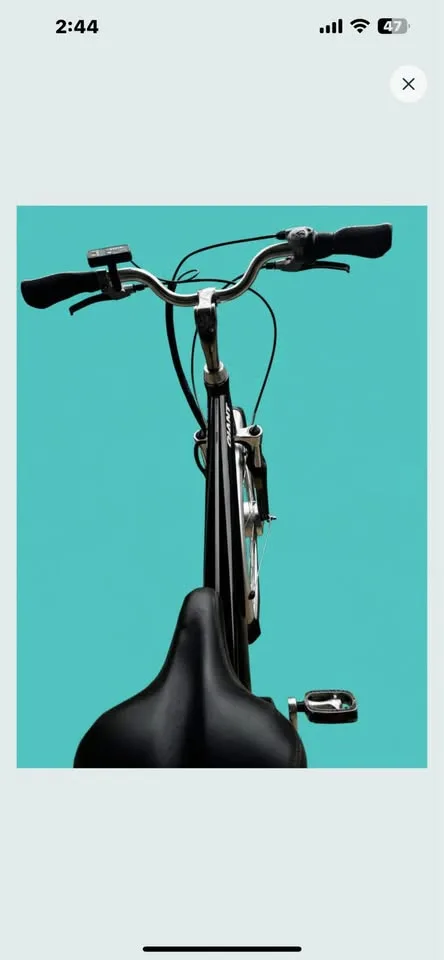 Hybrid Bicycle image indicator(2)