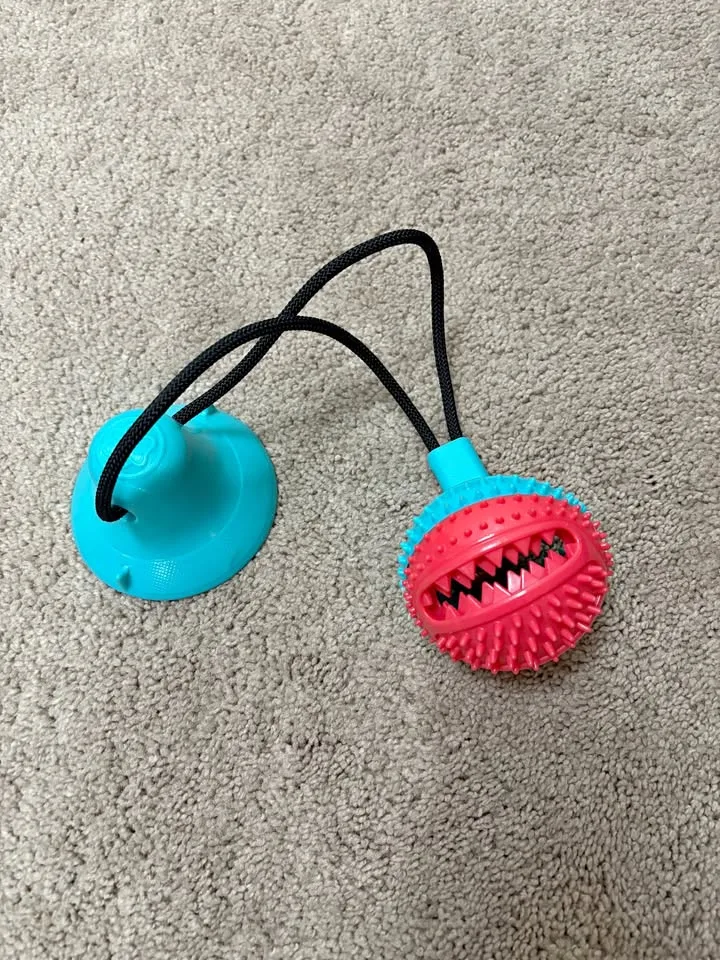 Dog Toy - Suctions to the floor and has a rubber ball with bell