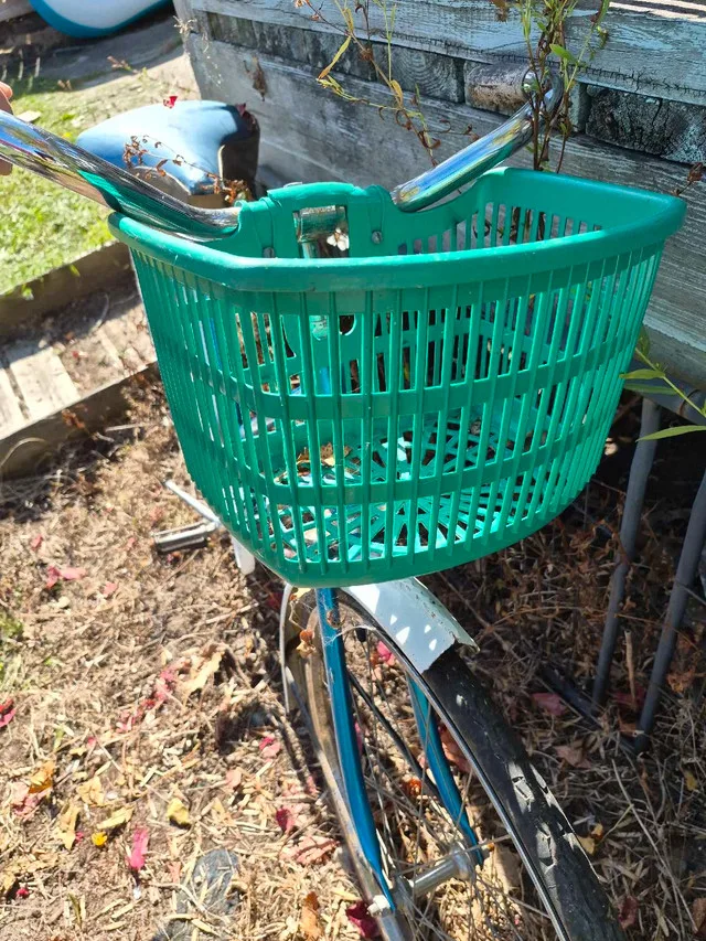 1967 SUPERCYCLE LADIES BIKE - ORIGINAL PARTS image indicator(5)