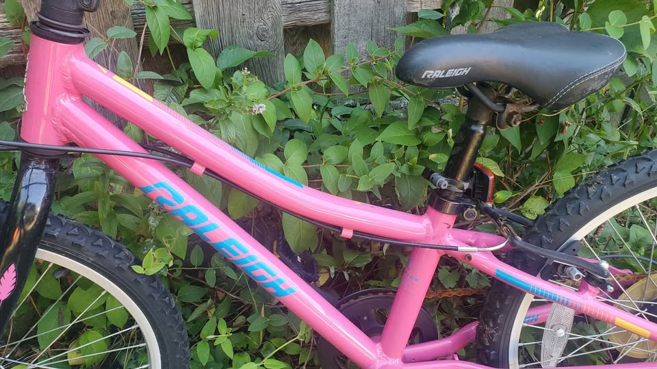 Pink Bike - photo 2