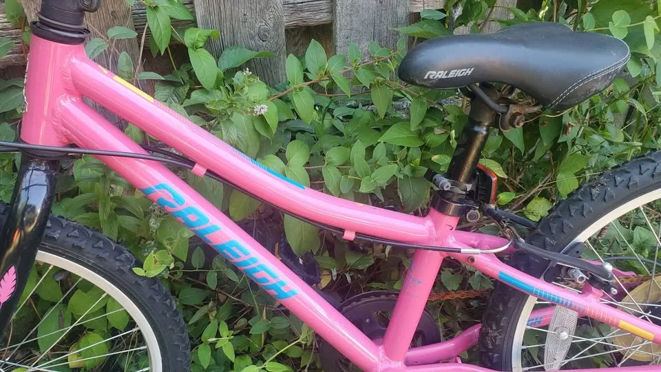 Pink Bike image indicator(2)