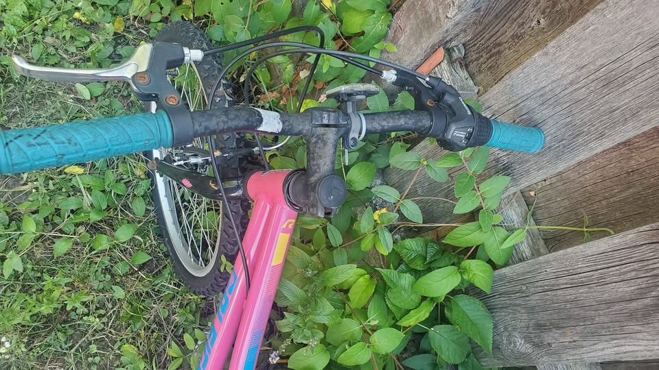 Pink Bike - photo 3