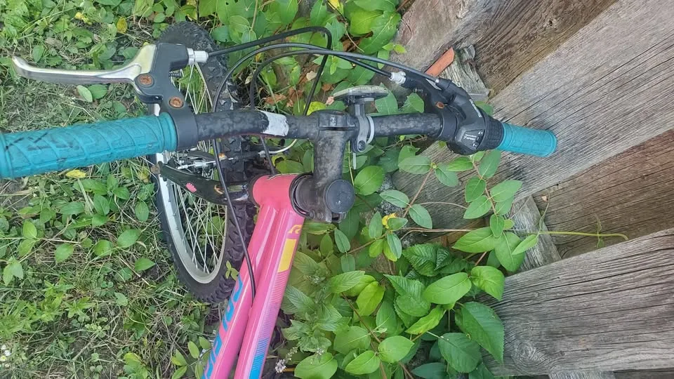 Pink Bike image indicator(3)