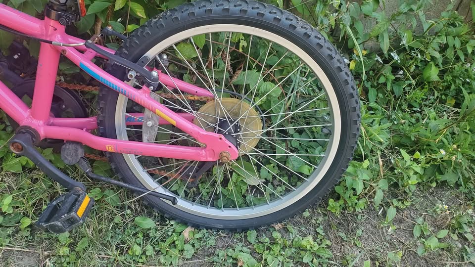 Pink Bike - photo 4