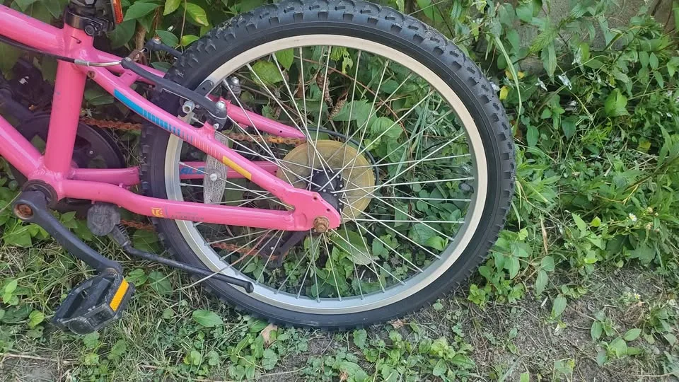 Pink Bike image indicator(4)