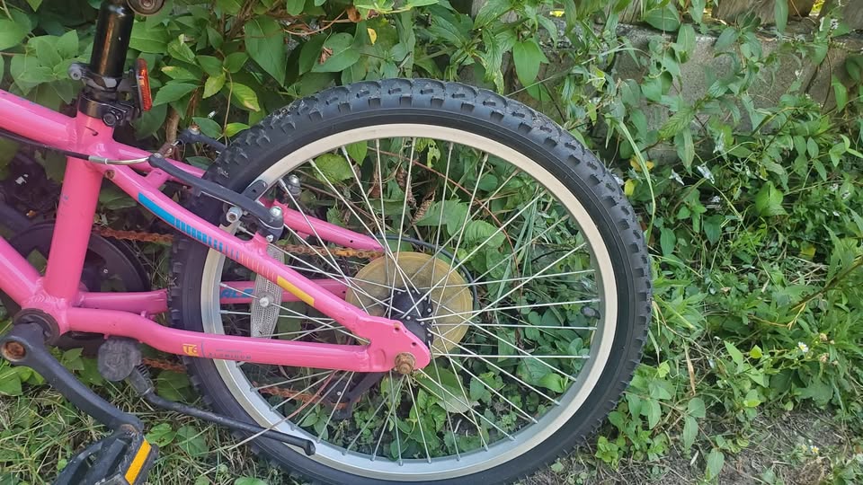 Pink Bike - photo 5