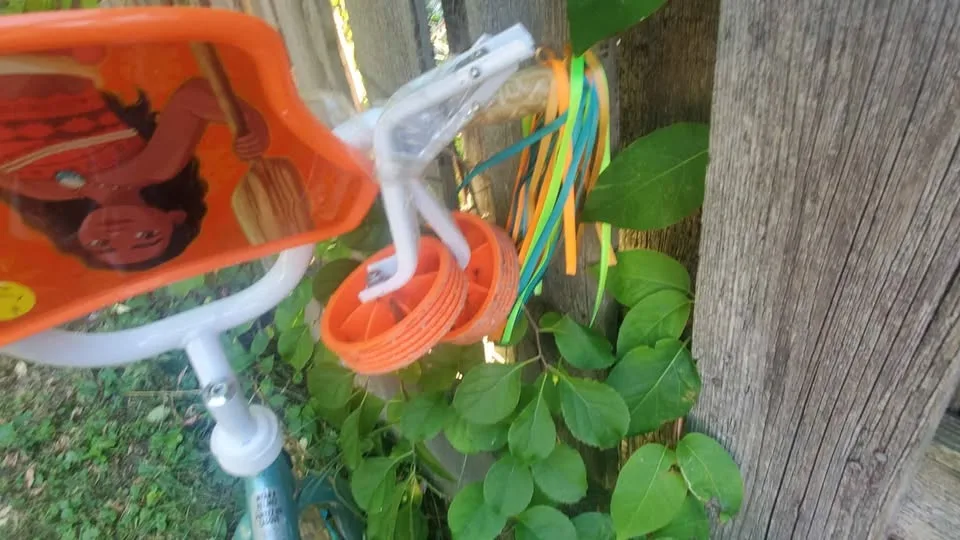 Moana Bike image indicator(4)