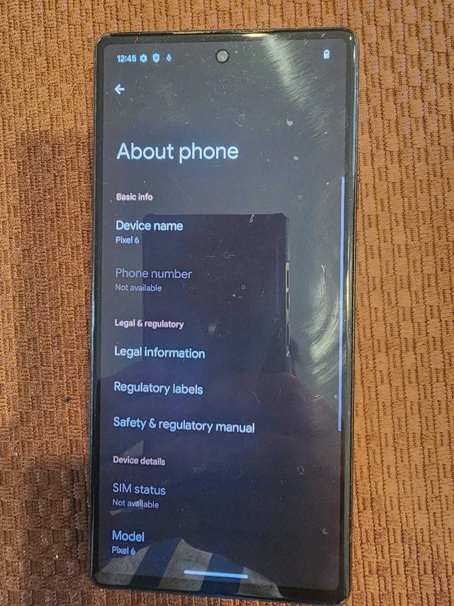 Google Pixel 6 Phone image indicator(3)