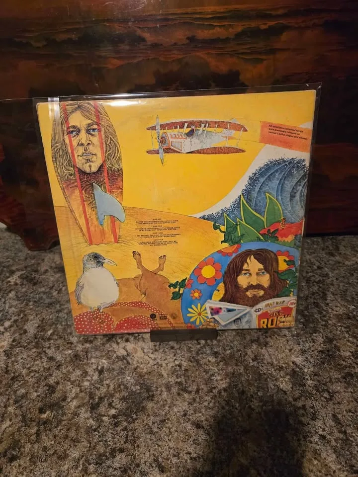 The Beach Boys vinyl record image indicator(2)