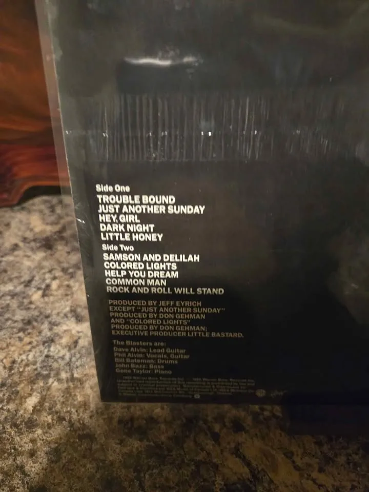 The blasters self titled lp sealed vinyl record image indicator(3)