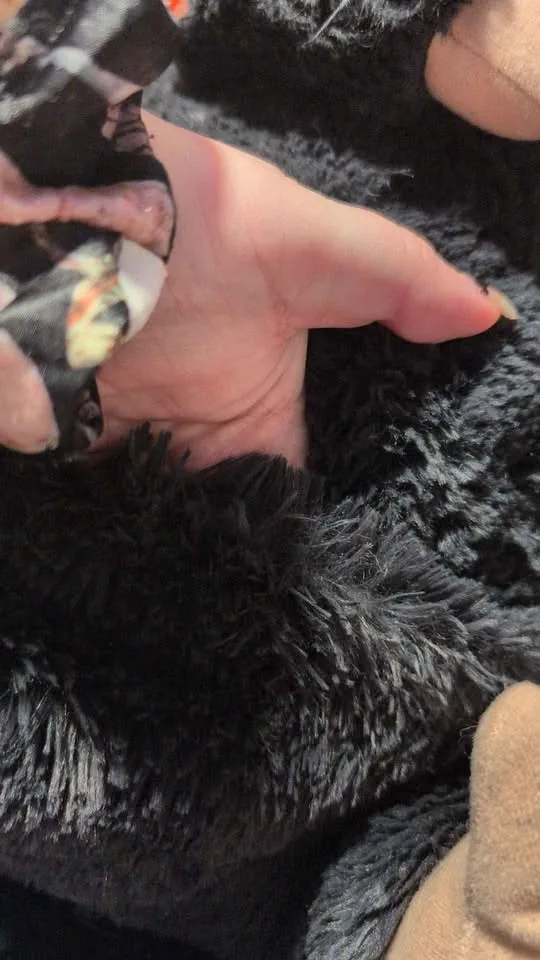 Harry Potter Niffler plushy™ image indicator(7)