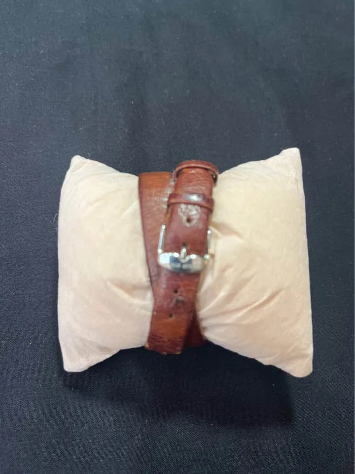 Philip Stein Teslar dual image indicator(2)