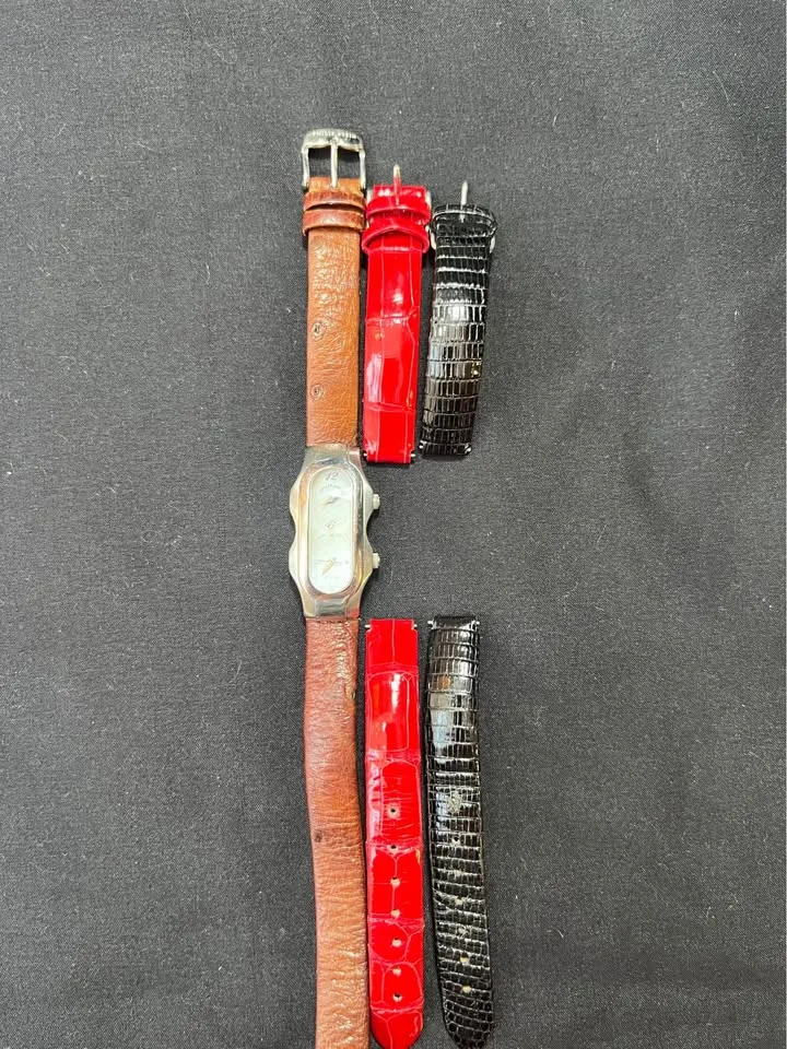 Philip Stein Teslar dual image indicator(7)