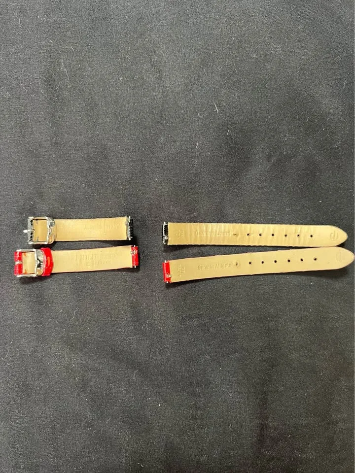 Philip Stein Teslar dual image indicator(8)