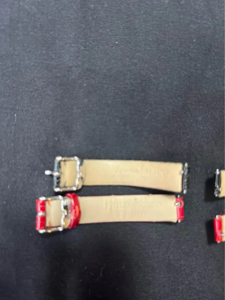 Philip Stein Teslar dual image indicator(9)