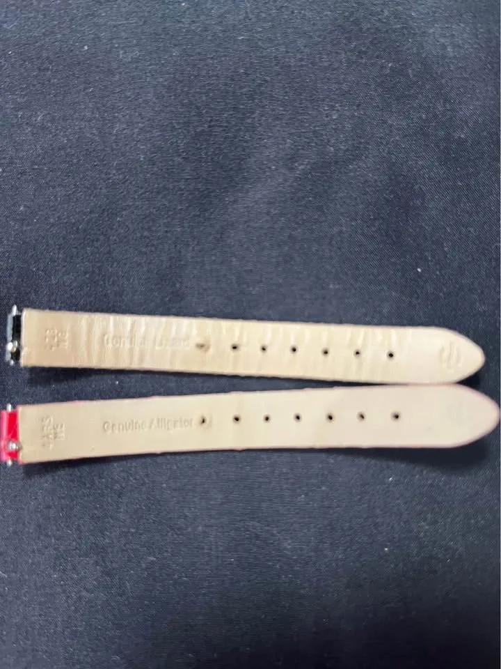 Philip Stein Teslar dual image indicator(10)