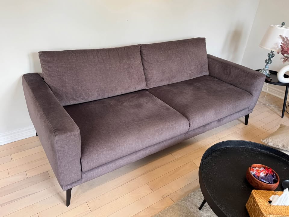 Natuzzi Editions Designer Sofa – Excellent Condition! - photo 2