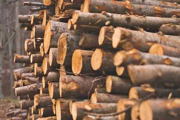 Seasoned Hardwood maple firewood bundle/crate ORGANIC $24 thumbnail