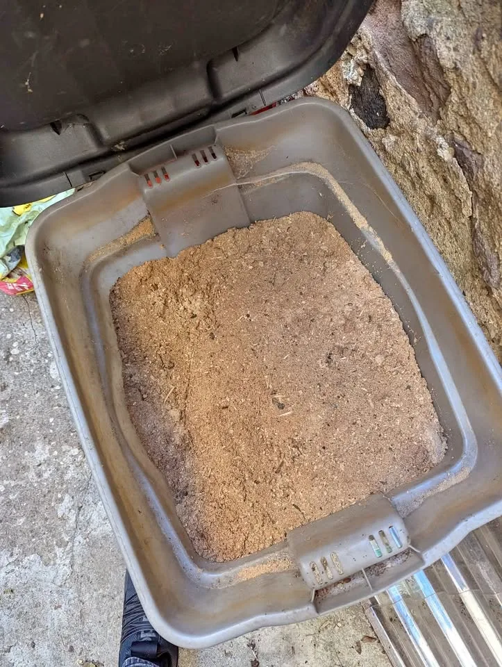 Hardwood maple sawdust for smoking meats thumbnail