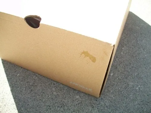 Airwalk Classics Random / One 2016 Re-issue Men Size 11 Black & image indicator(4)