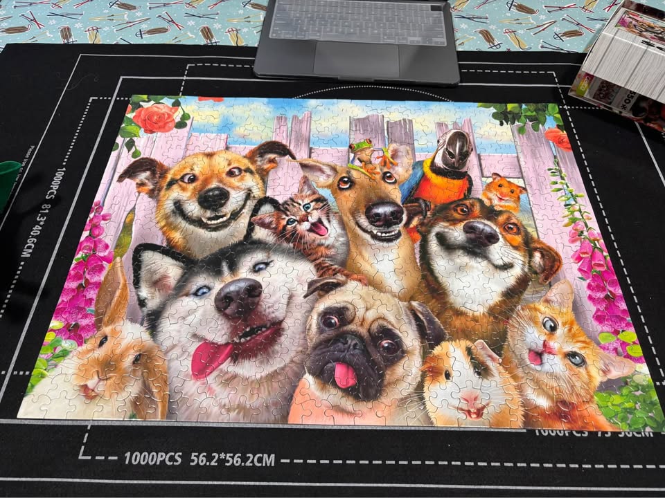(Can trade) 550pcs puzzle - photo 2
