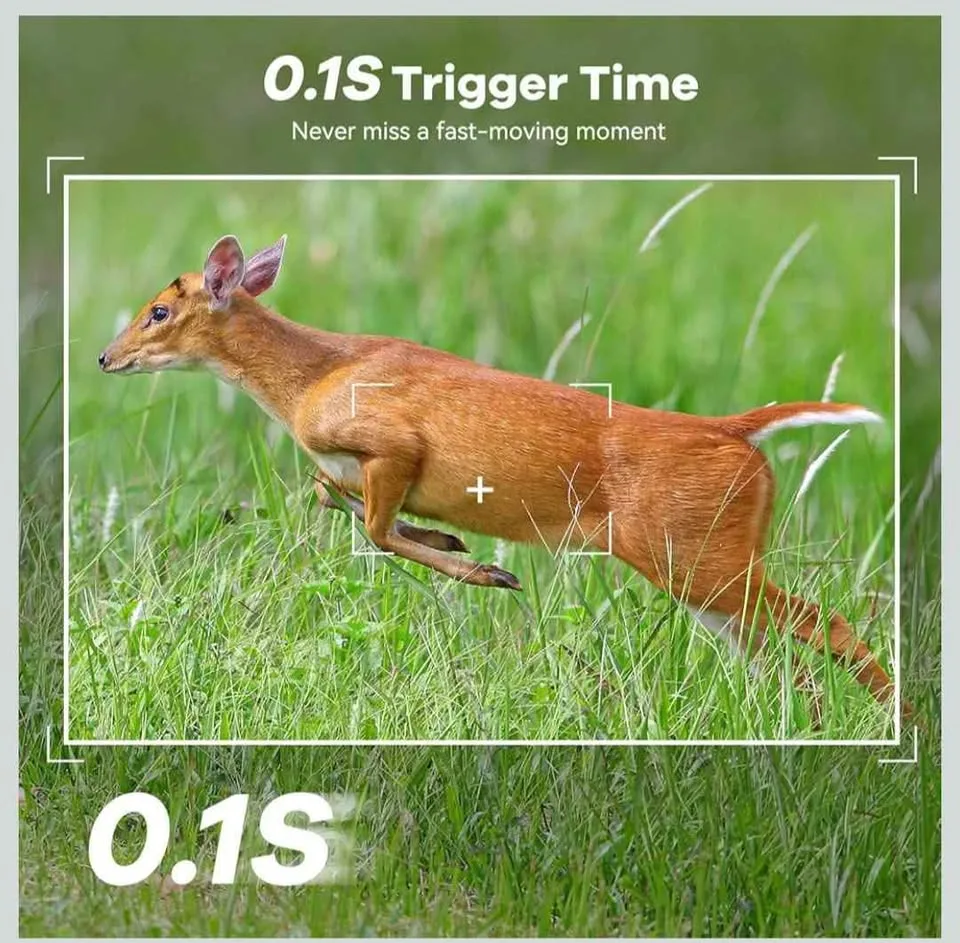 DEATTI 4G LTE Cellular Trail Cameras image indicator(6)