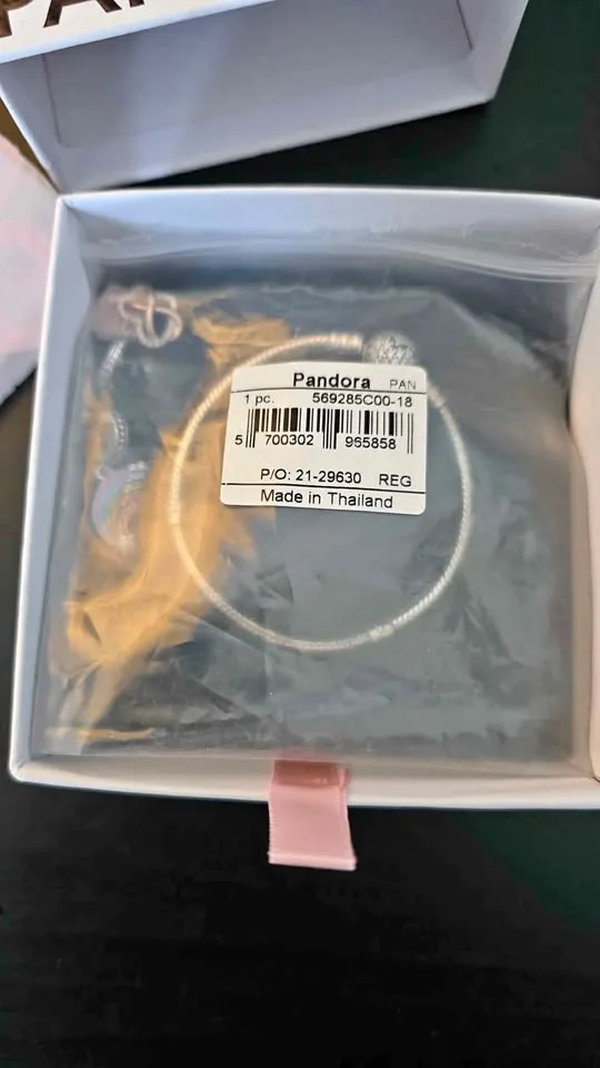 Pandora Bracelet and Charms - original thumbnail