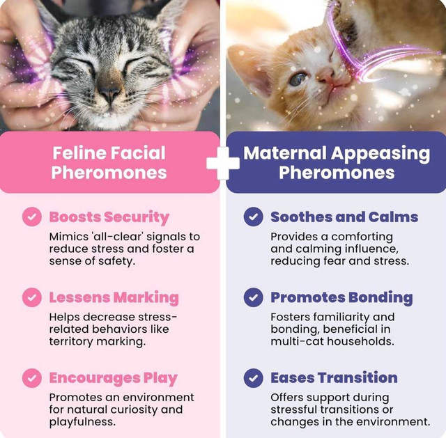 ADVANCED CAT CALMING DIFFUSER KIT - photo 5