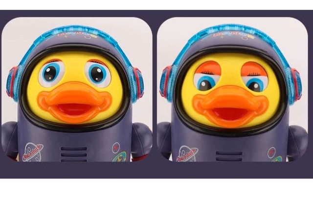 ROBOT DUCK - photo 4