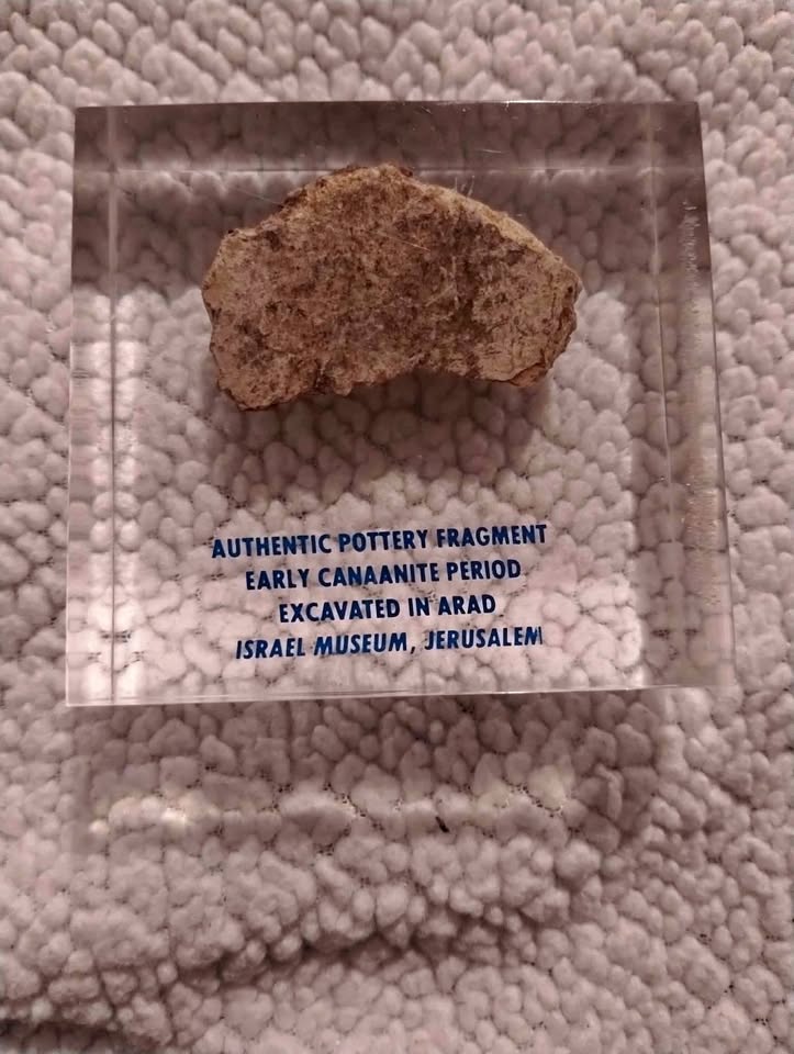 Ancient Pottery Fragment Display