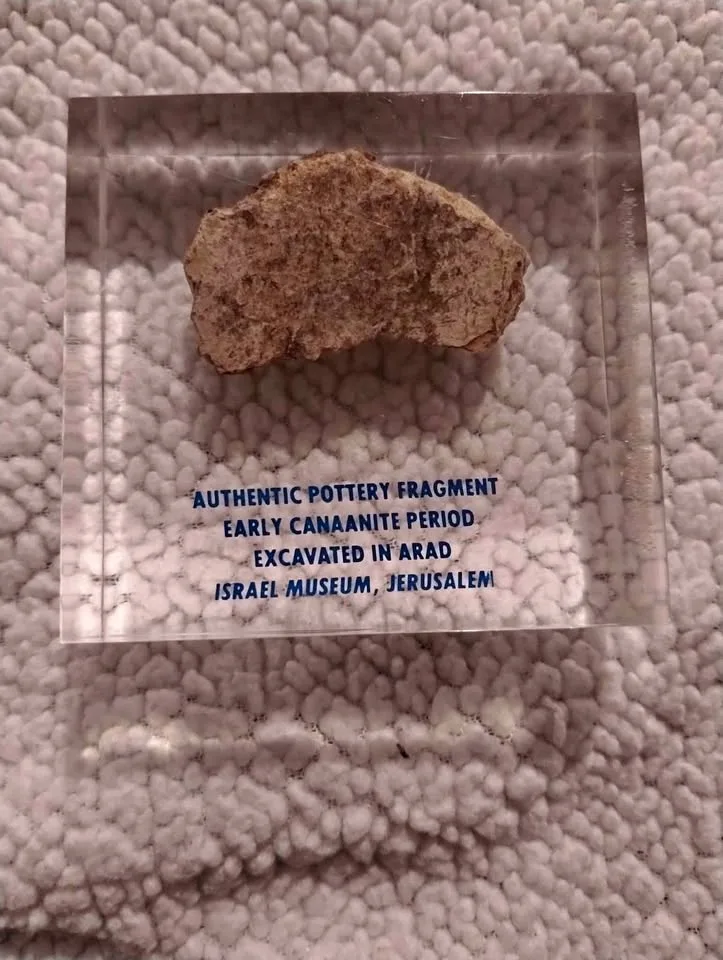 Ancient Pottery Fragment Display thumbnail