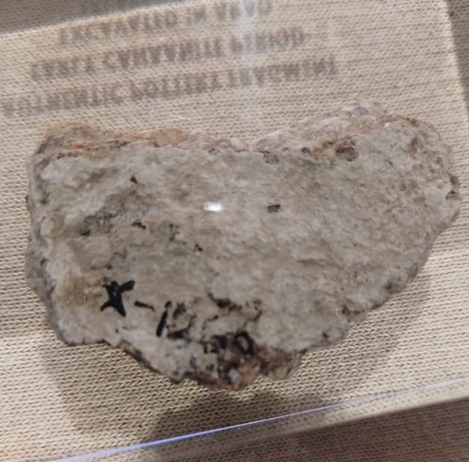 Ancient Pottery Fragment Display - photo 2