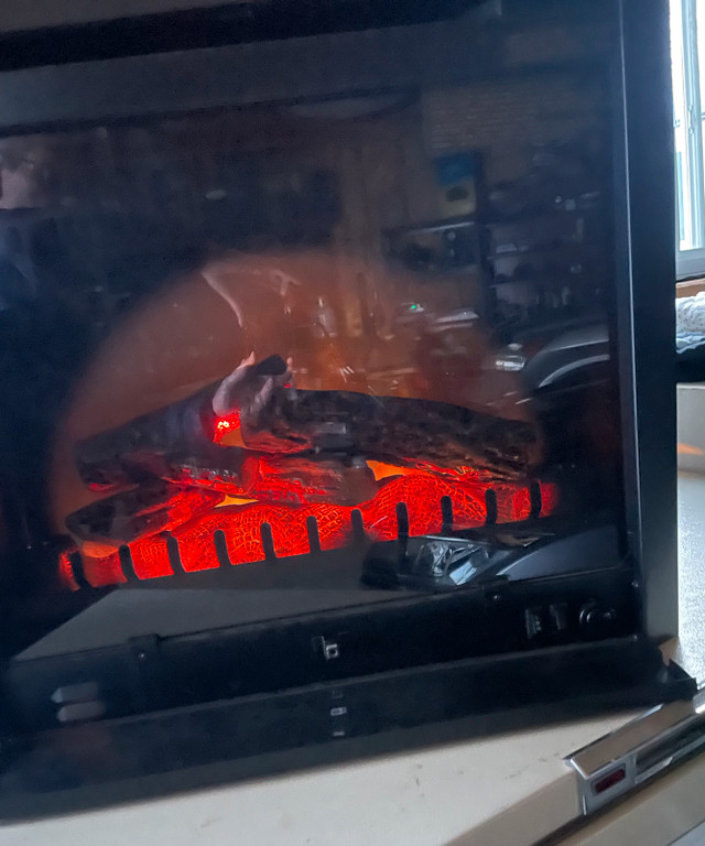 Electric Fireplace Insert