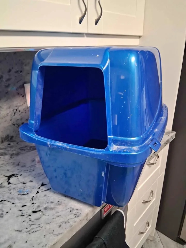 Used covered cat litter box
