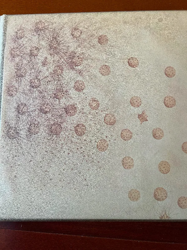 Family - Anyway Vinyl Album image indicator(2)