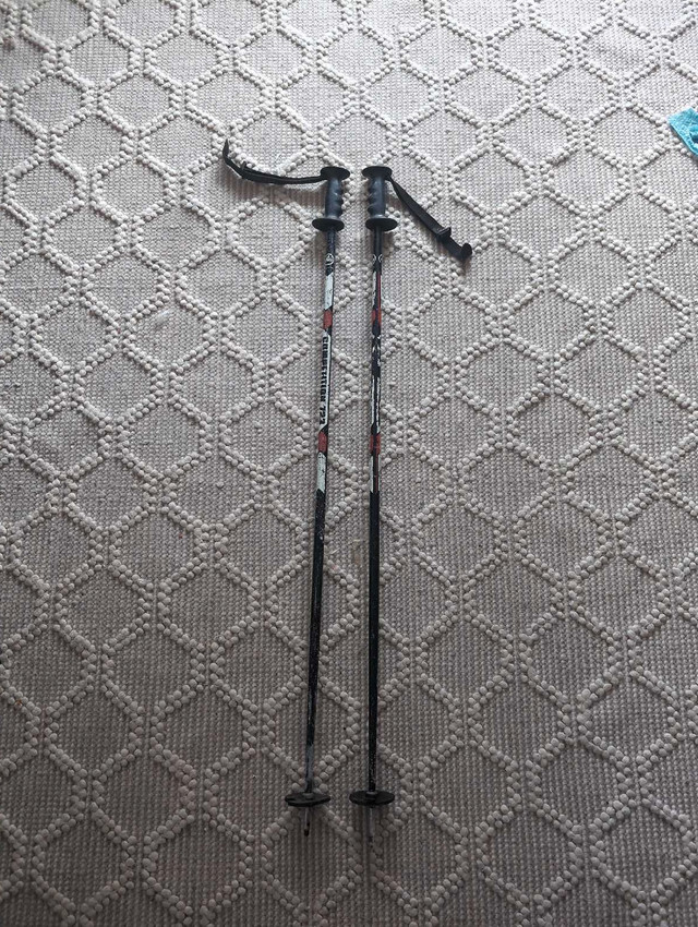 Ski Poles